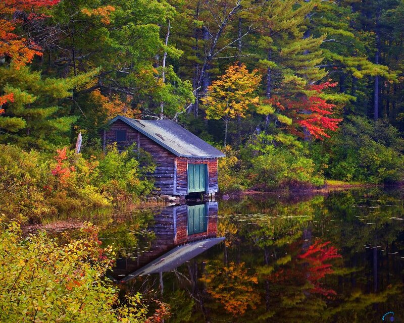 Log Cabin by Lake — Green, Serene, Autumn, Photograph