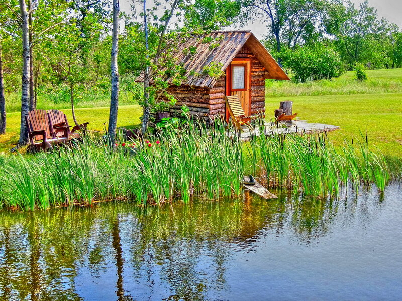 Log Cabin by Pond — Green, Serene, Summer