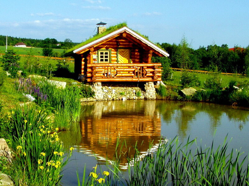 Log Cabin by Pond — Green, Serene