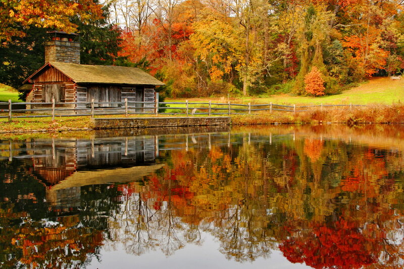 Log Cabin by Pond — Orange