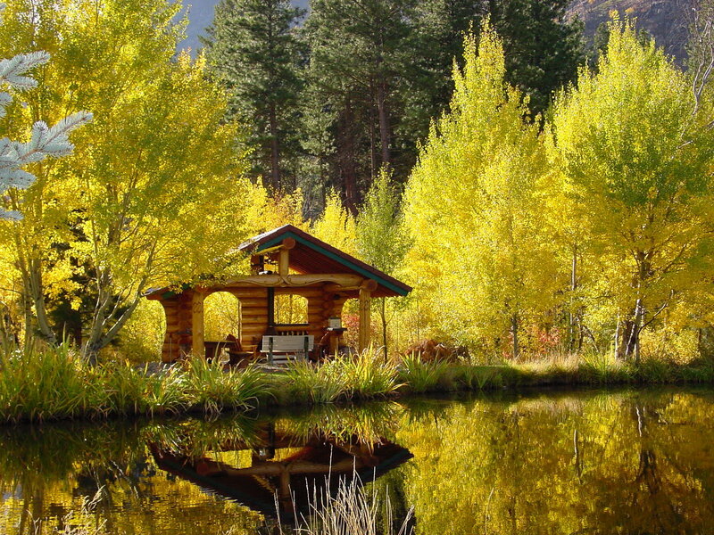 Log Cabin by Pond — Yellow