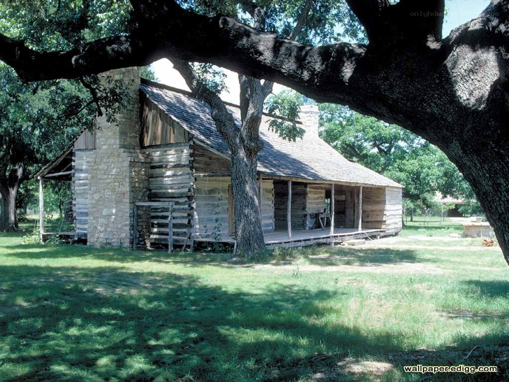 log cabin in a park