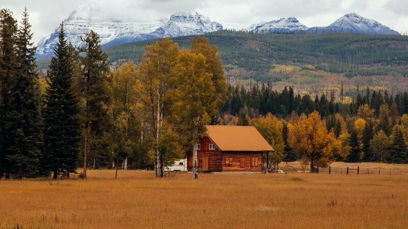 Log Cabin in Autumn Field — Brown