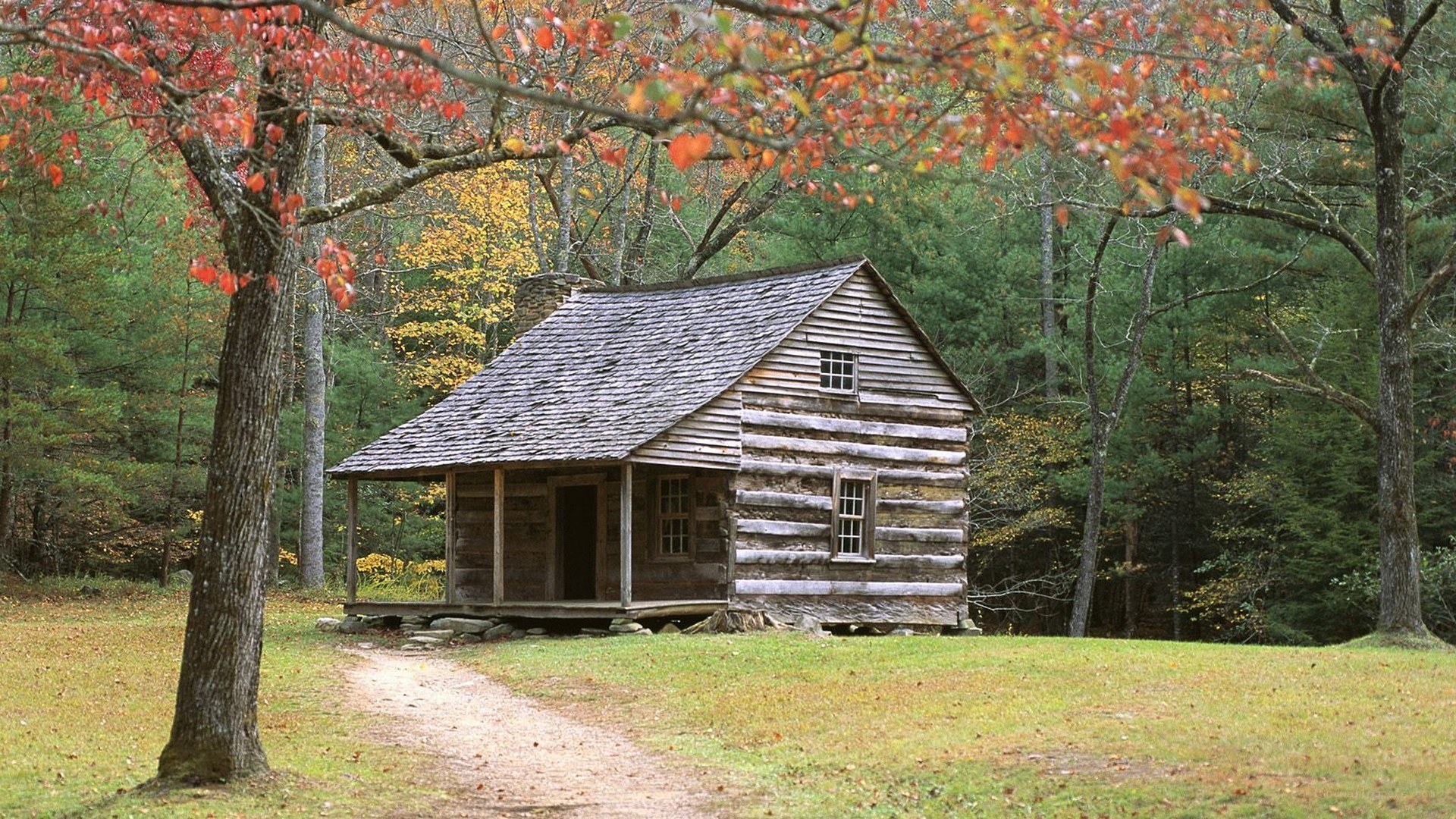 log cabin in autumn forest