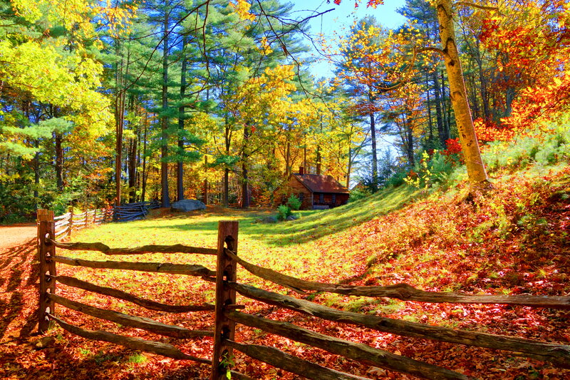 Log Cabin in Autumn Forest — Red