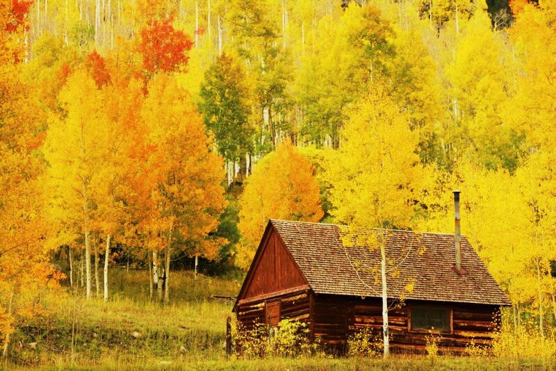 Log Cabin in Autumn Forest — Yellow, Serene