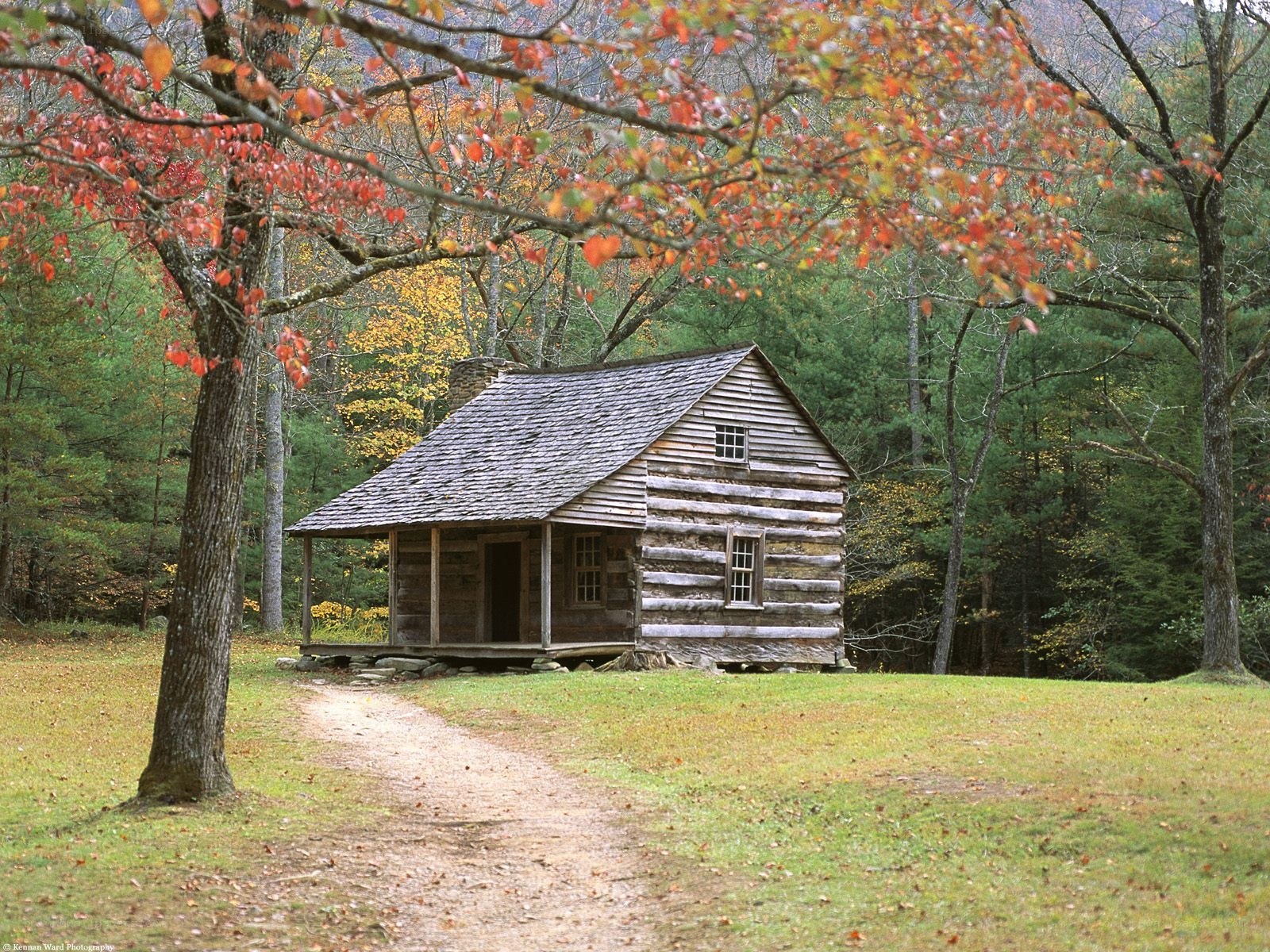 Log cabin in autumn forest