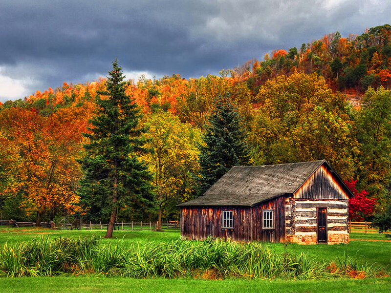 Log Cabin in Autumn — Green, Dramatic