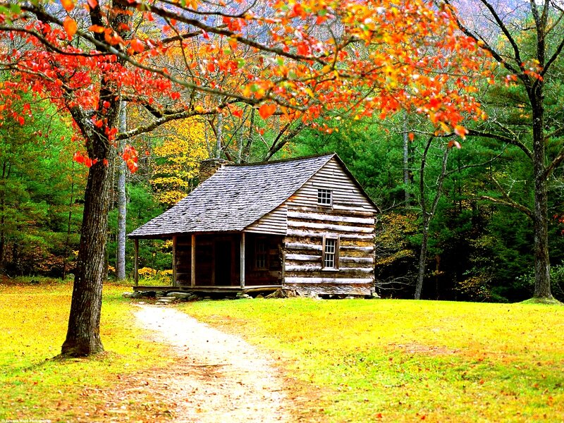 Log Cabin in Autumn — Green, Serene, Photograph, Tree