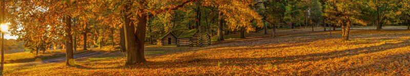 Log Cabin in Autumn — Orange, Serene, Photograph, Trees