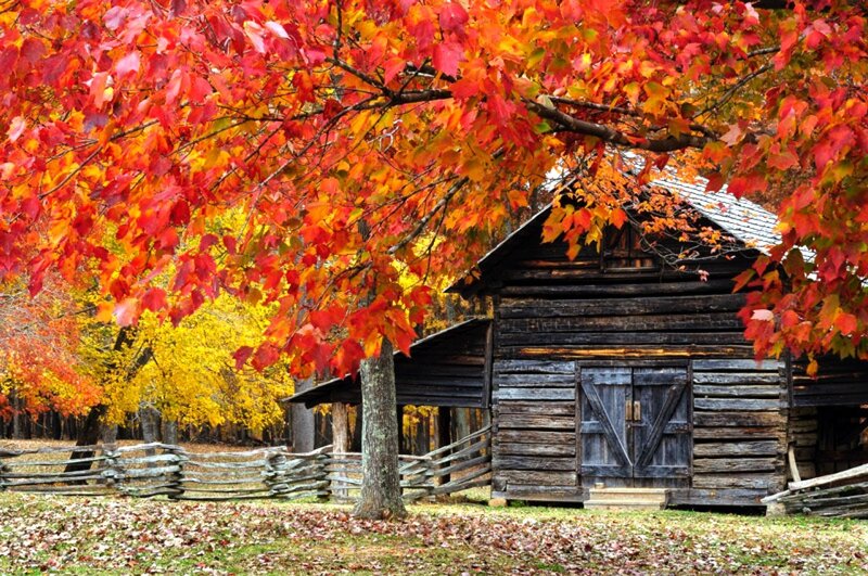 Log Cabin in Autumn — Red