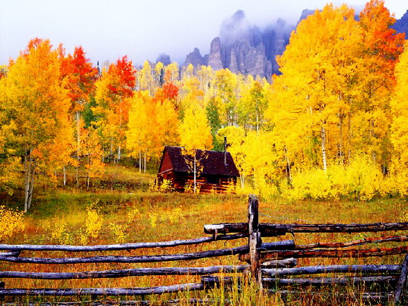 Log Cabin in Autumn — Yellow