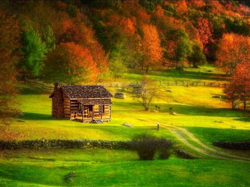 Log Cabin in Field — Green, Serene, Autumn