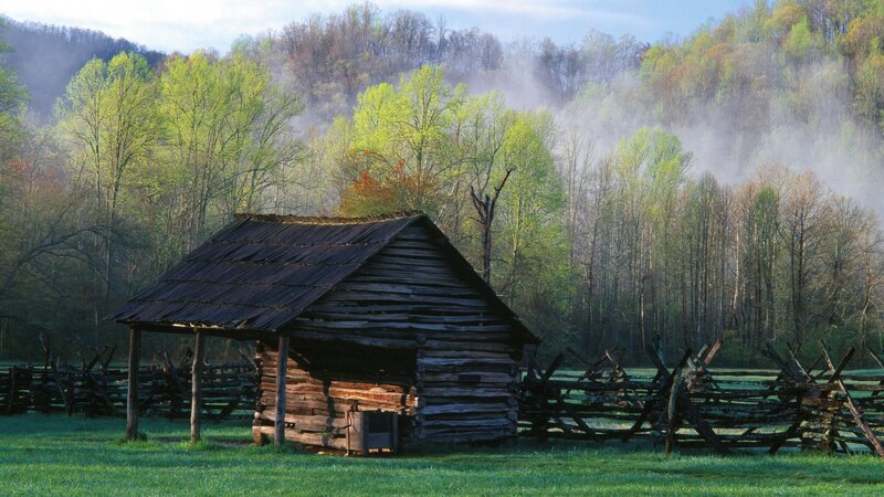 Log Cabin in Field — Green, Serene, Morning