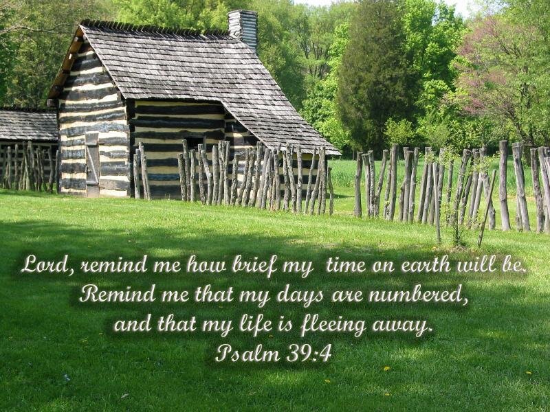 Log Cabin in Field — Green