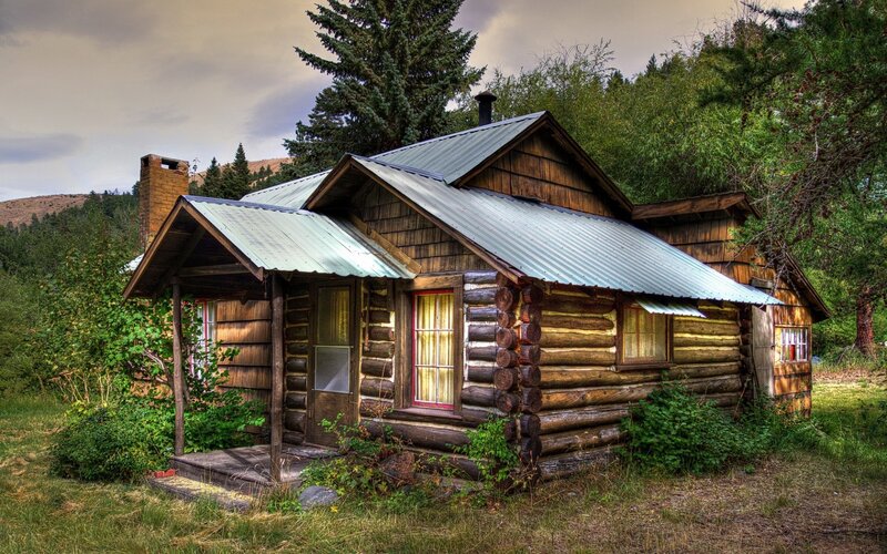 Log Cabin in Forest — Brown, Serene, Afternoon, Photograph, Trees, Chimney