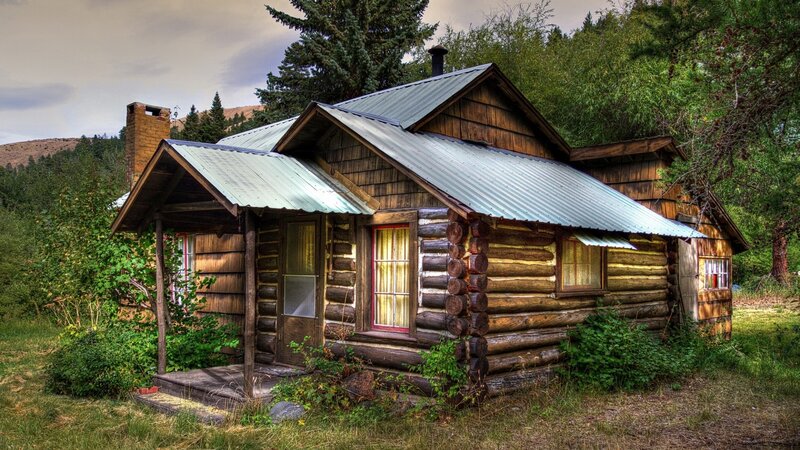 Log Cabin in Forest — Brown, Serene, Afternoon