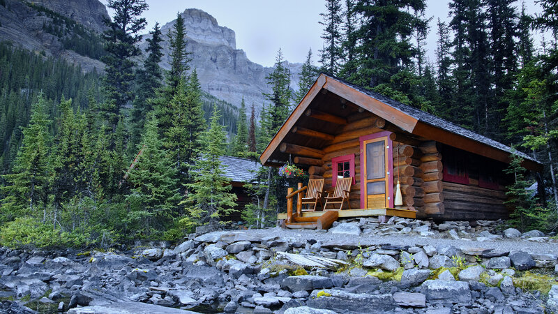 Log Cabin in Forest — Brown, Serene, Morning