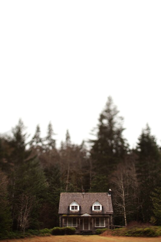Log Cabin in Forest — Brown, Serene, Photograph