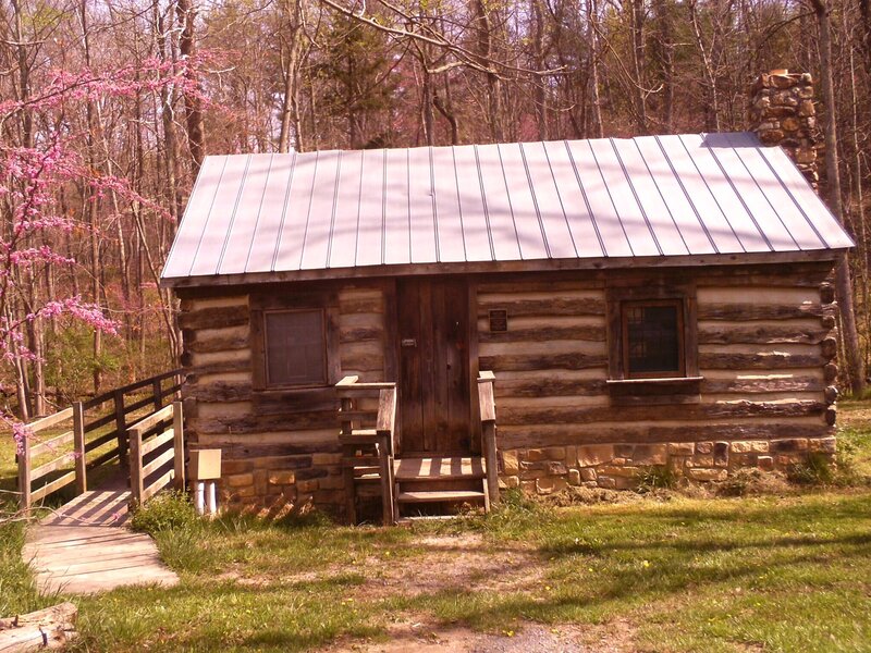Log Cabin in Forest — Brown, Serene, Spring
