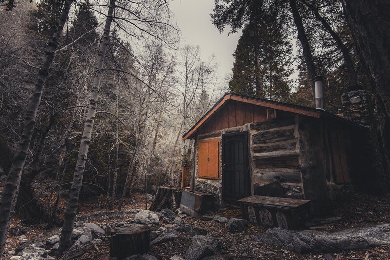 Log Cabin in Forest — Brown, Somber