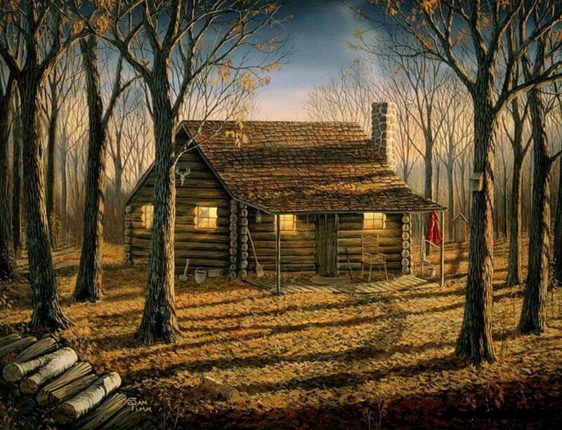 Log Cabin in Forest — Brown