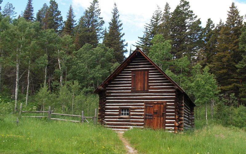 log cabin in forest clearing