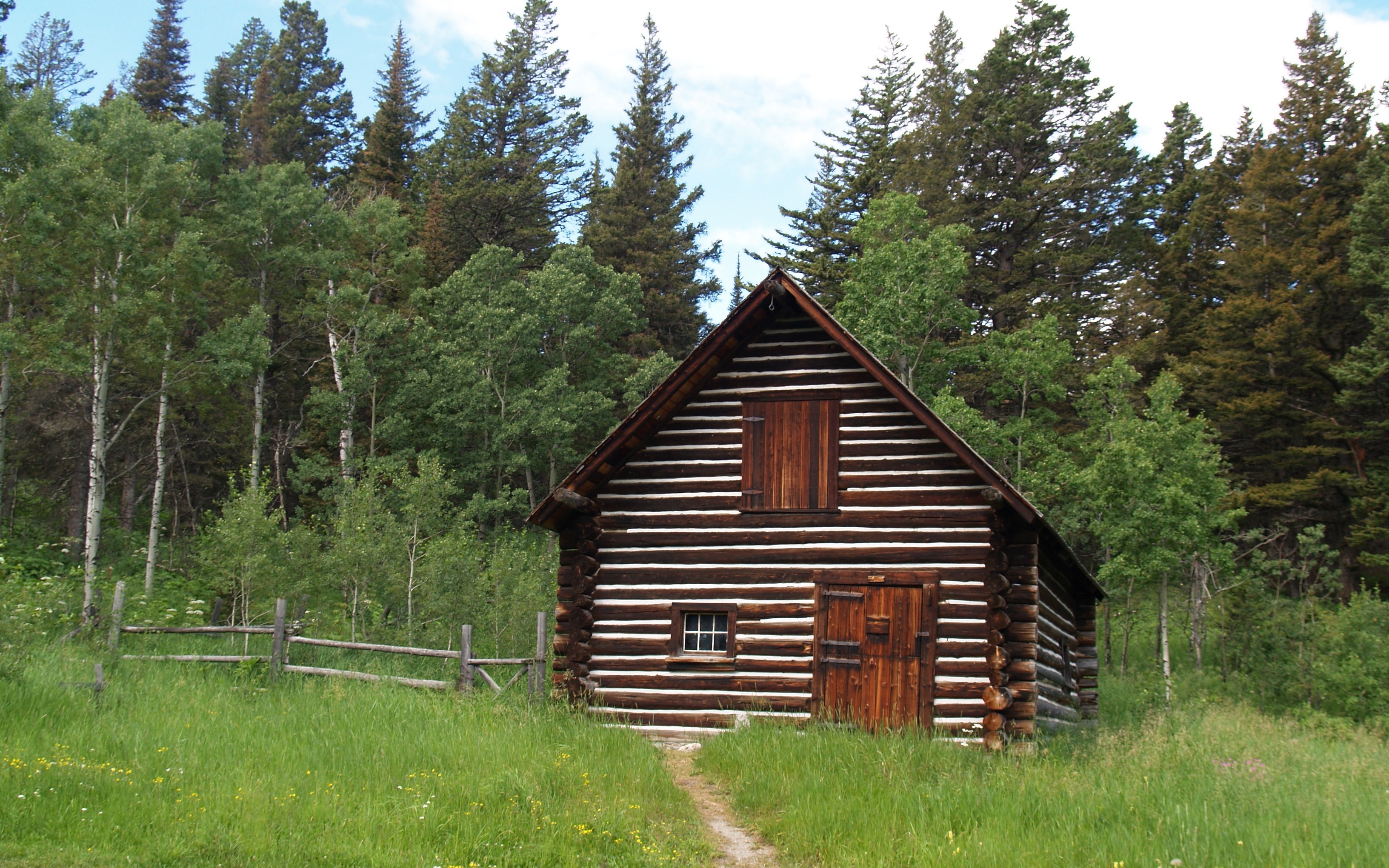 log cabin in forest clearing