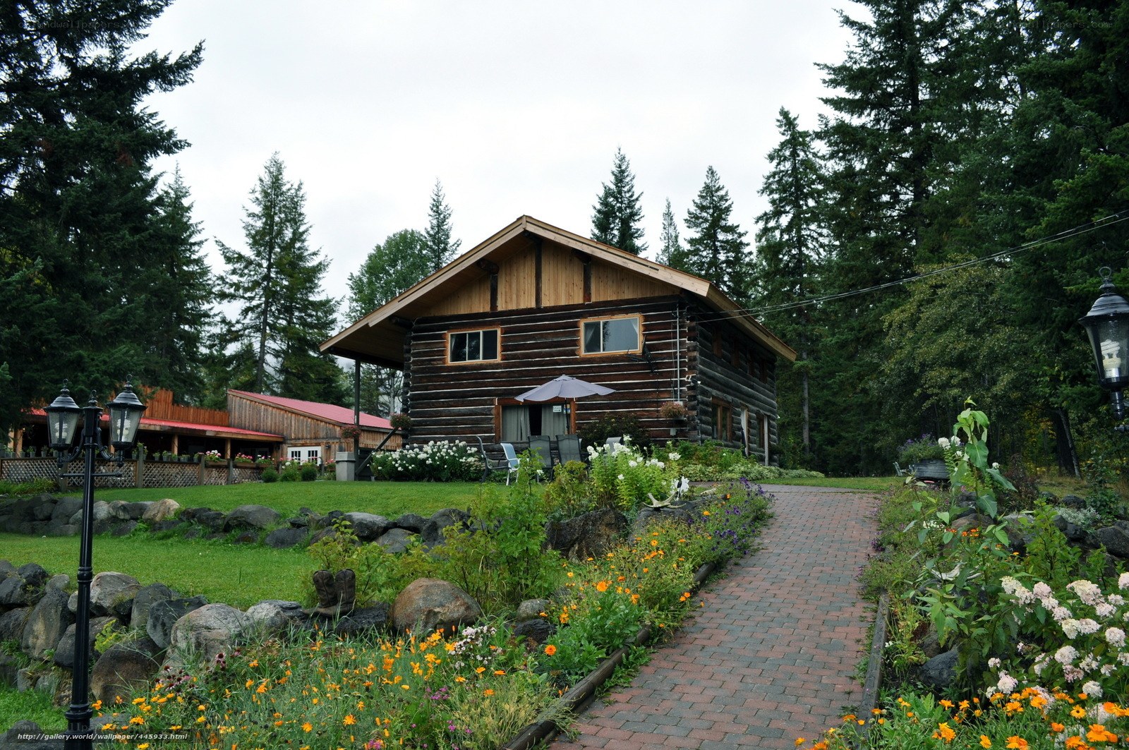 log cabin in forest garden