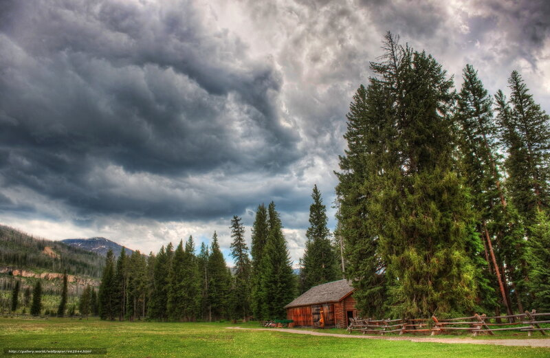 Log Cabin in Forest — Green, Dramatic, Afternoon, Photograph