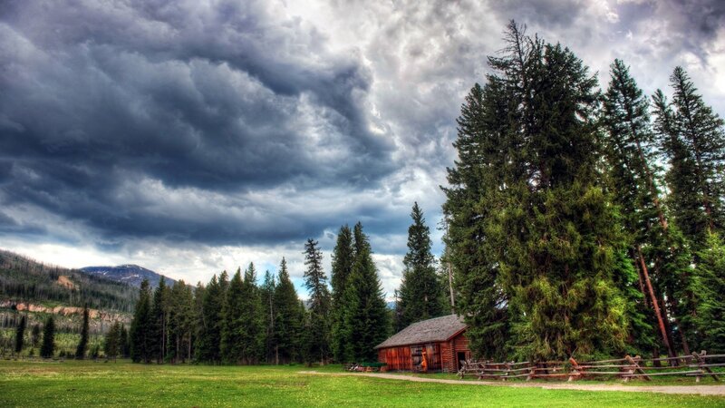 Log Cabin in Forest — Green, Dramatic, Afternoon