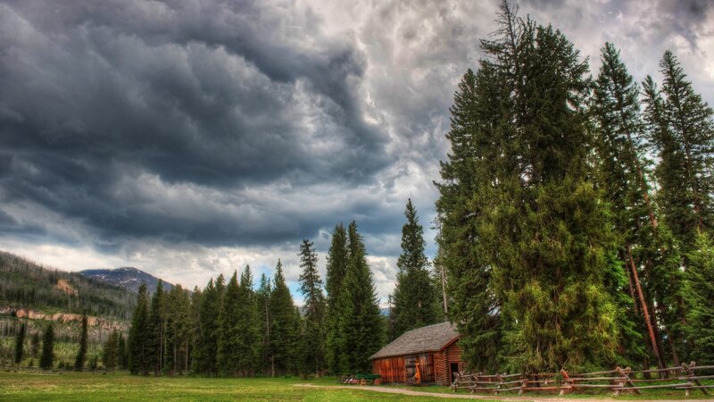 Log Cabin in Forest — Green, Dramatic, Photograph