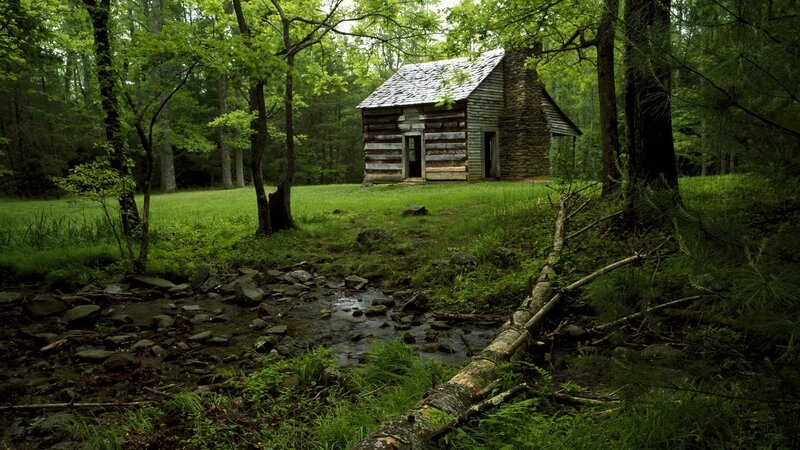 Log Cabin in Forest — Green, Serene, Afternoon, Photograph, Stream, Trees, Fallen Log