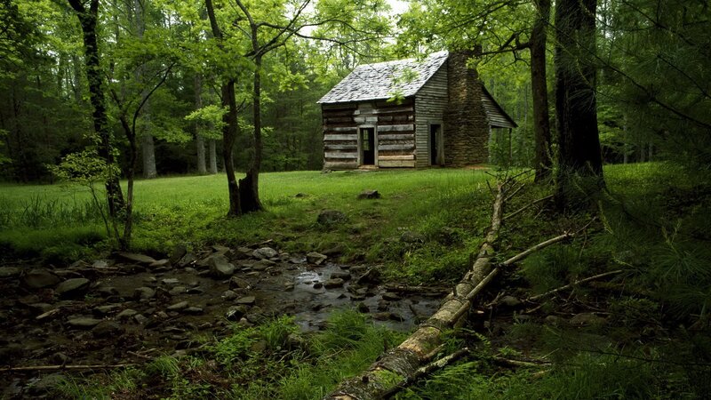 Log Cabin in Forest — Green, Serene, Afternoon, Photograph, Stream, Trees, Rocks