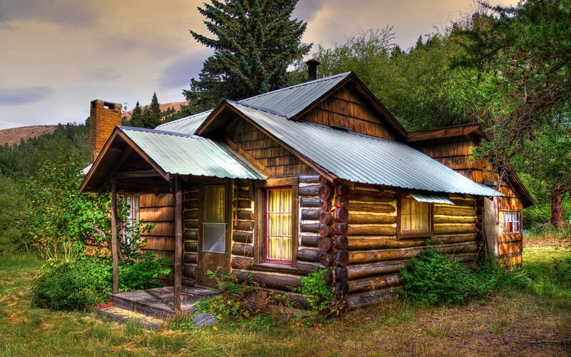 Log Cabin in Forest — Green, Serene, Afternoon, Photograph, Trees, Chimney