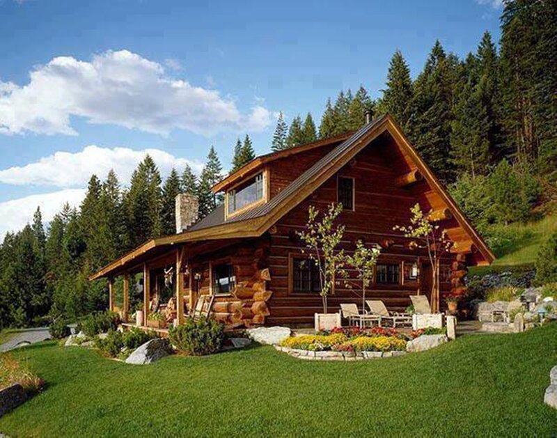 Log Cabin in Forest — Green, Serene, Afternoon, Photograph, Trees, Flowers
