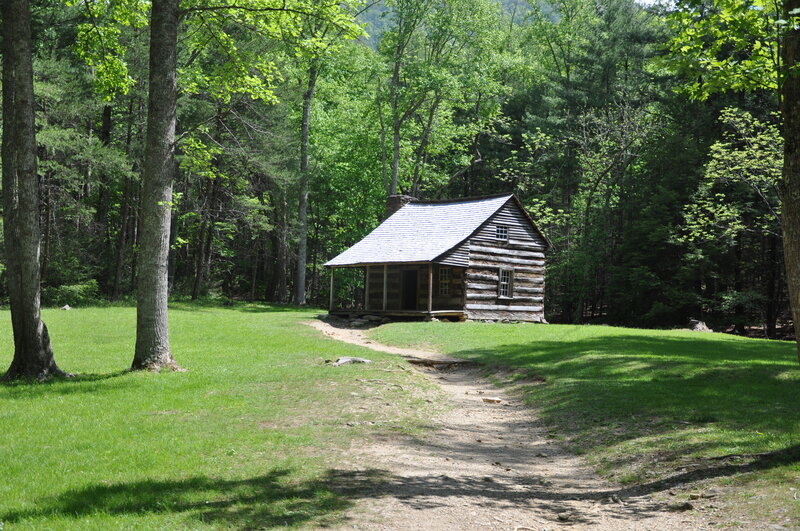 Log Cabin in Forest — Green, Serene, Afternoon