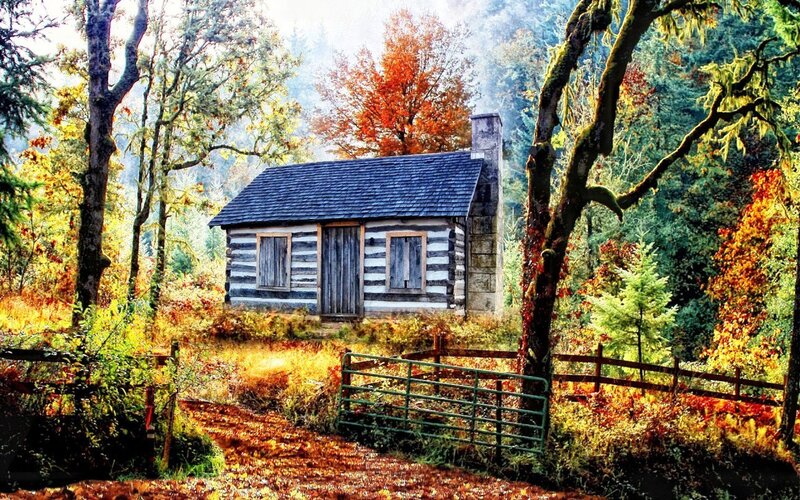 Log Cabin in Forest — Green, Serene, Autumn, Digital Art