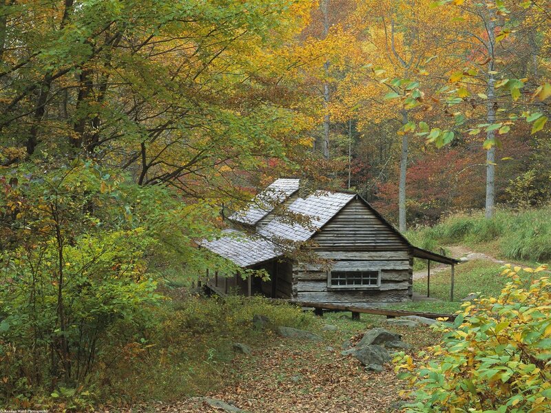 Log Cabin in Forest — Green, Serene, Autumn, Photograph, Trees, Fall Foliage, Path, Yellow