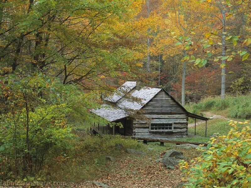 Log Cabin in Forest — Green, Serene, Autumn, Photograph, Trees, Fall Foliage, Rocks, Yellow