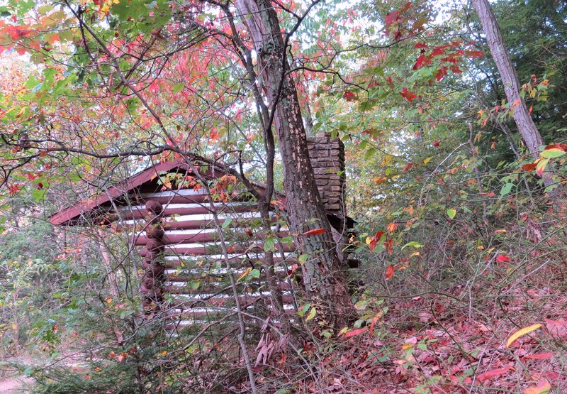 Log Cabin in Forest — Green, Serene, Autumn, Photograph, Trees, Fall Foliage