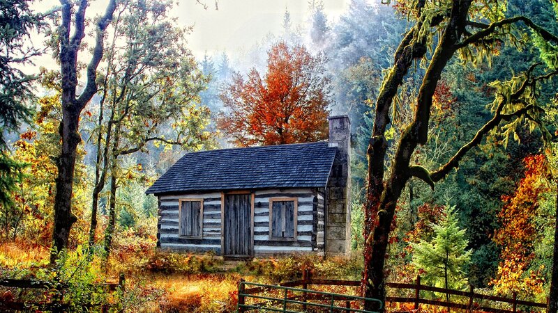 Log Cabin in Forest — Green, Serene, Autumn, Photograph, Trees, Fence