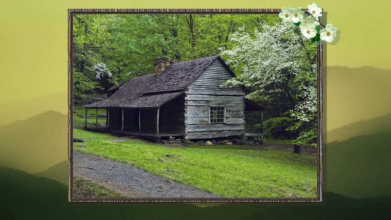 Log Cabin in Forest — Green, Serene, Spring, Photograph