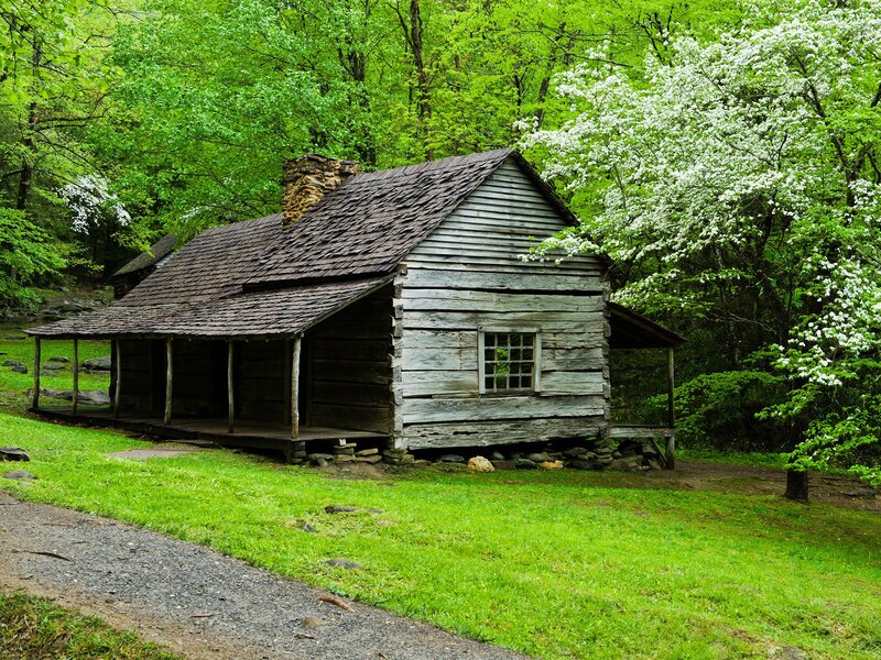 Log Cabin in Forest — Green, Serene, Spring, Photograph, Trees