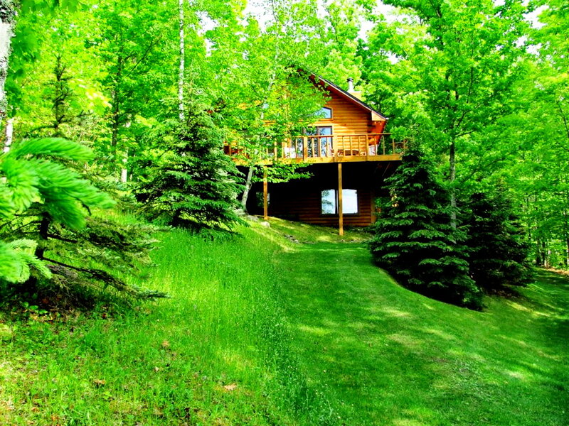 Log Cabin in Forest — Green, Serene, Summer