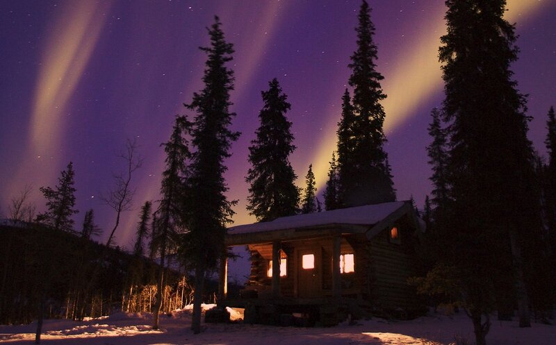 Log Cabin in Forest — Purple