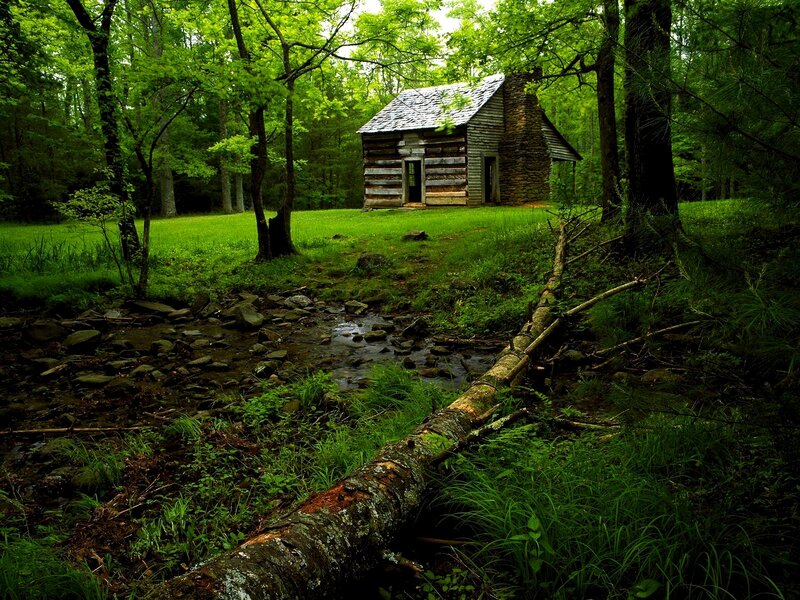 Log Cabin in Forest — Stream