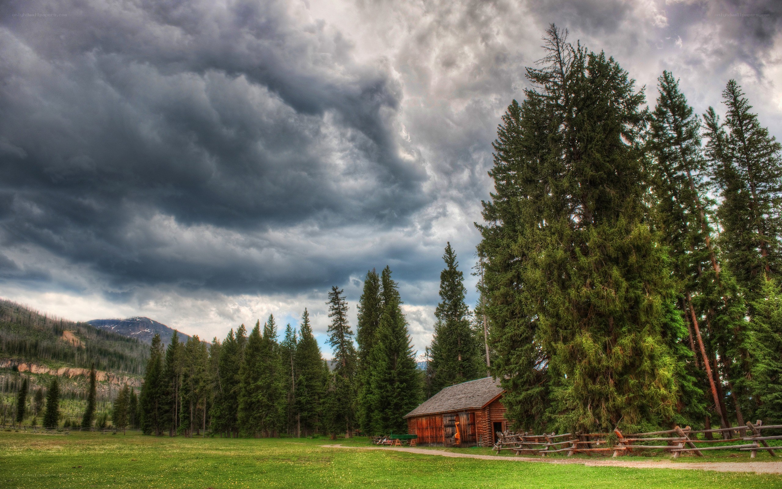 Log cabin in forest under stormy sky