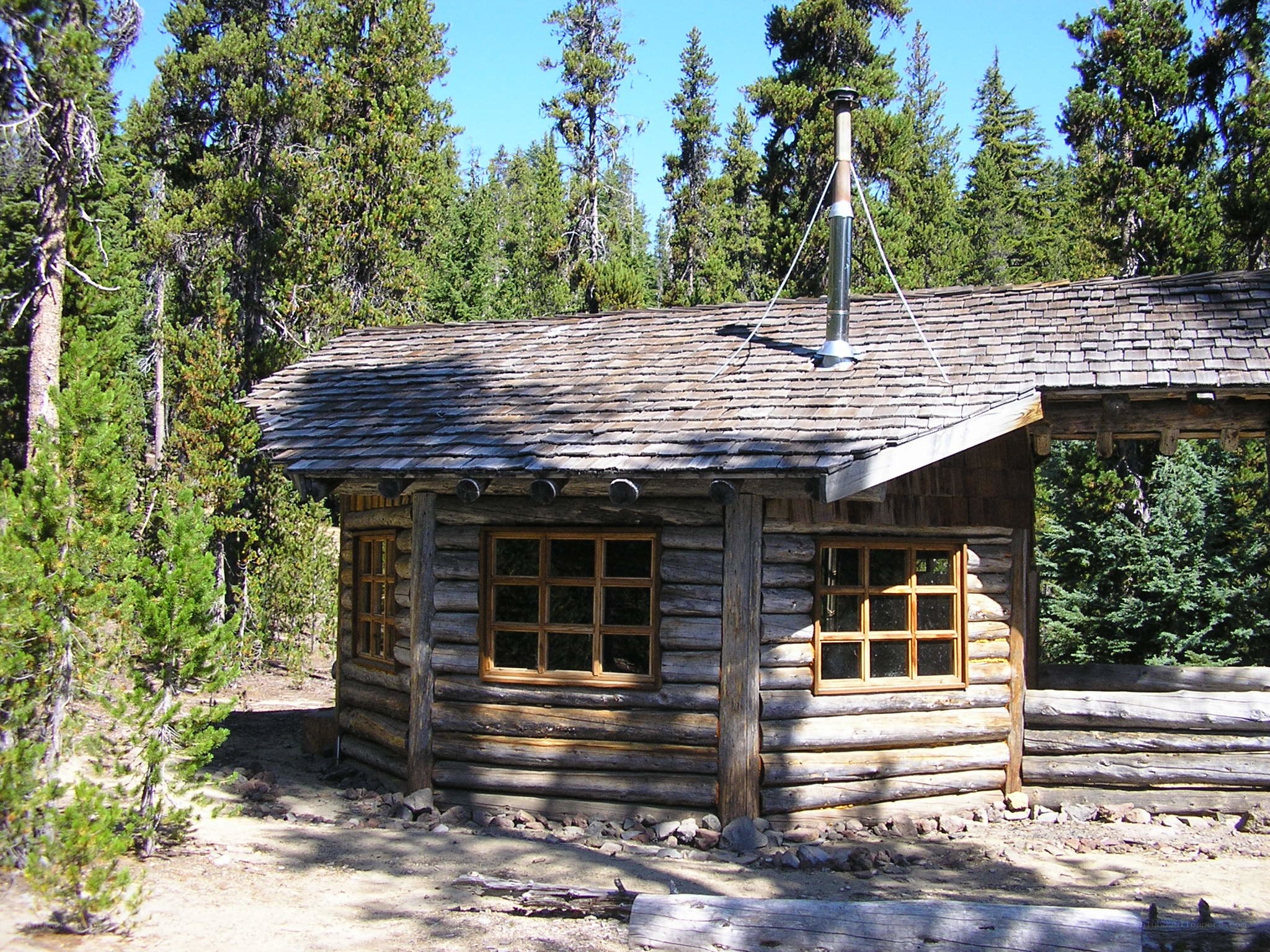 Log cabin in forest