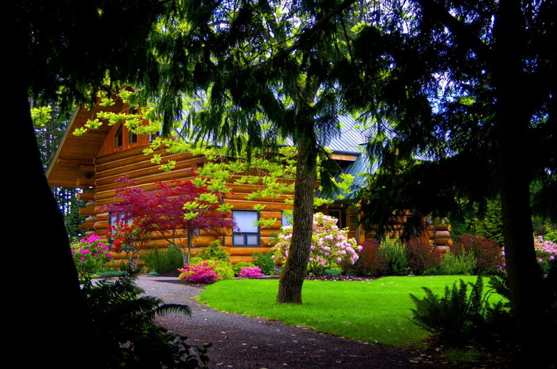 Log Cabin in Garden — Green